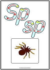 Grundschrift-Druck Sp.pdf